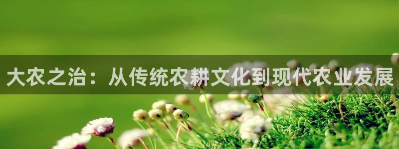 必一体育官网网址