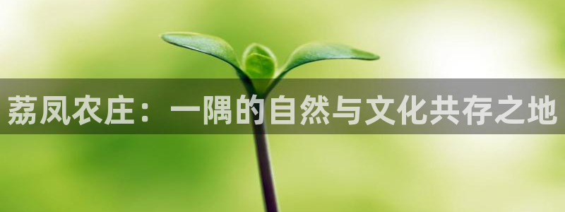 必一体育下载