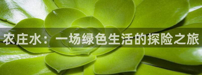 必一体育app官方下载