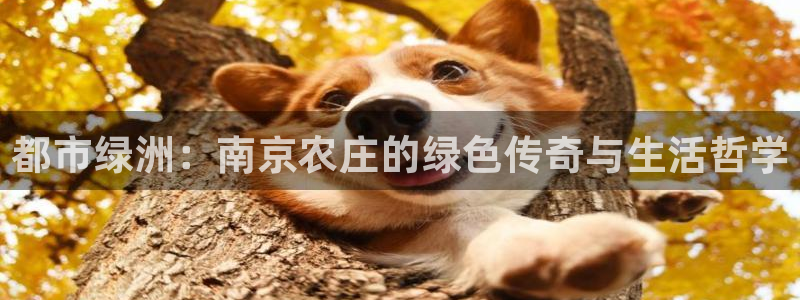 必一体育sportB体育