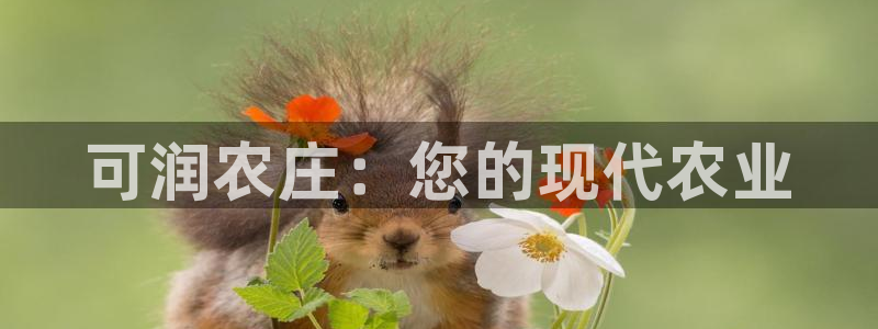 必一体育下载app下载
