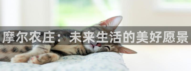 必一体育app下载安装