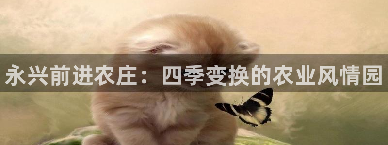 必一体育是哪里的台子