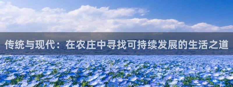 必一体育网址