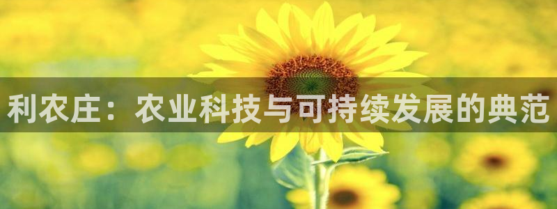 必一体育sport