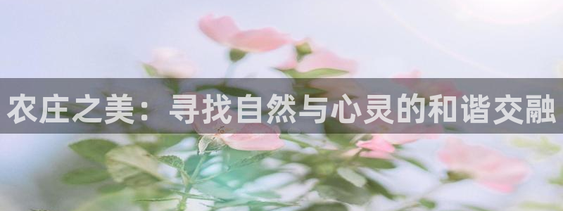 必一体育在线玩