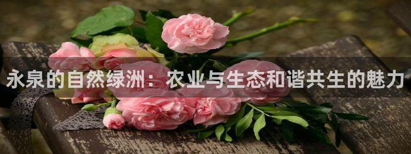 Bsport体育app必一